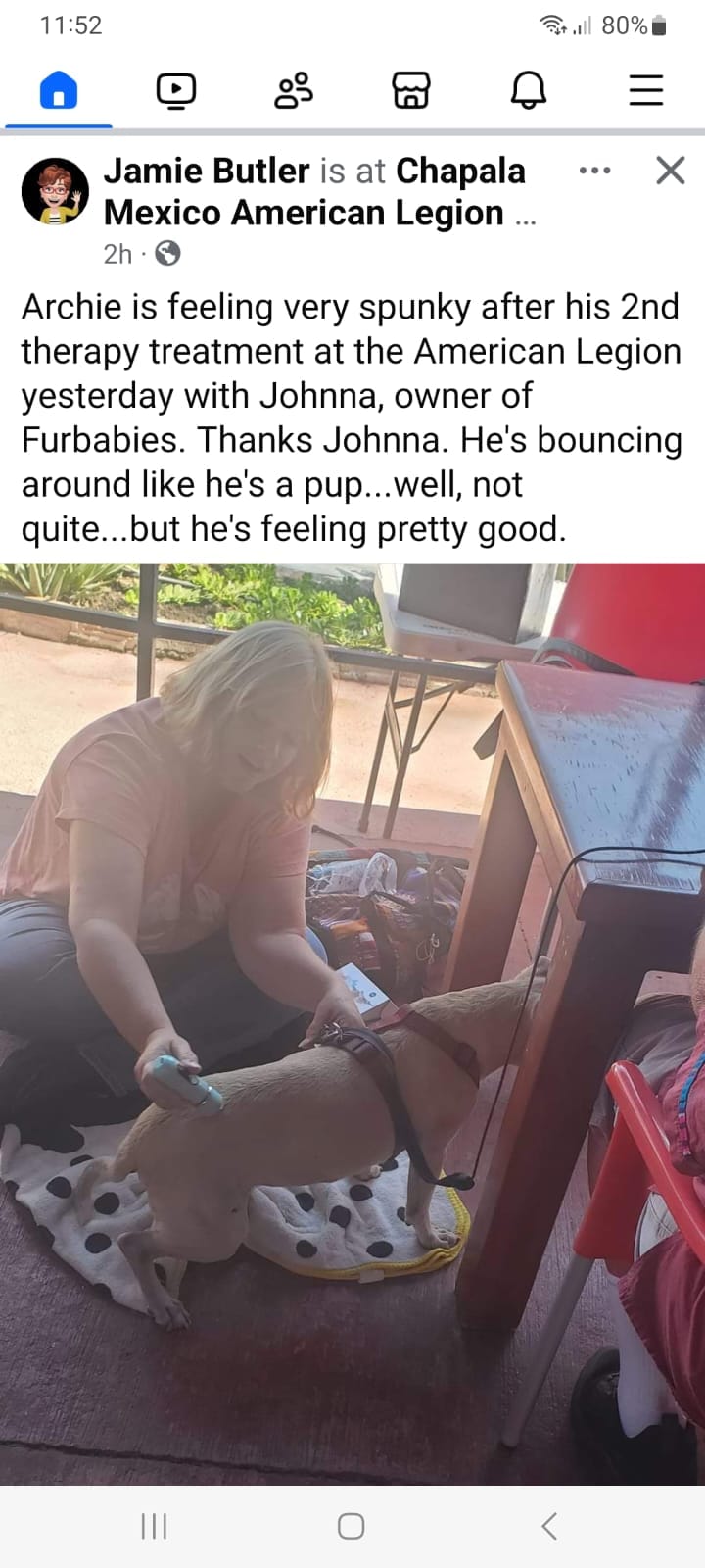 Dog mobility issues