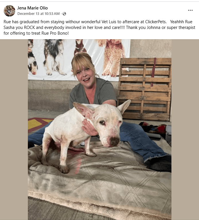 Furbabies therapy for d0gs