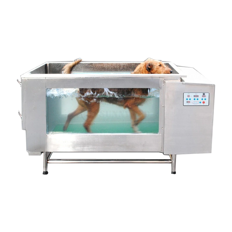 underwater treadmill